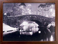 Framed New York City Central Park. Footbridge over a Pond 